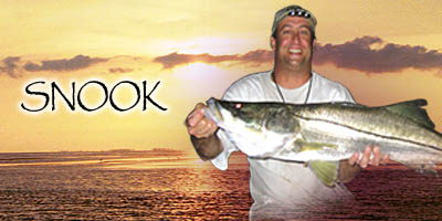 Snook Fishing Trps and Photos