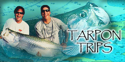 Tarpon Fishing Info and Photos